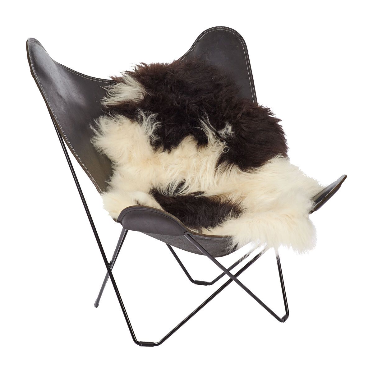 IJslandse Schapenvacht | Langharig | 90 cm Gevlekt