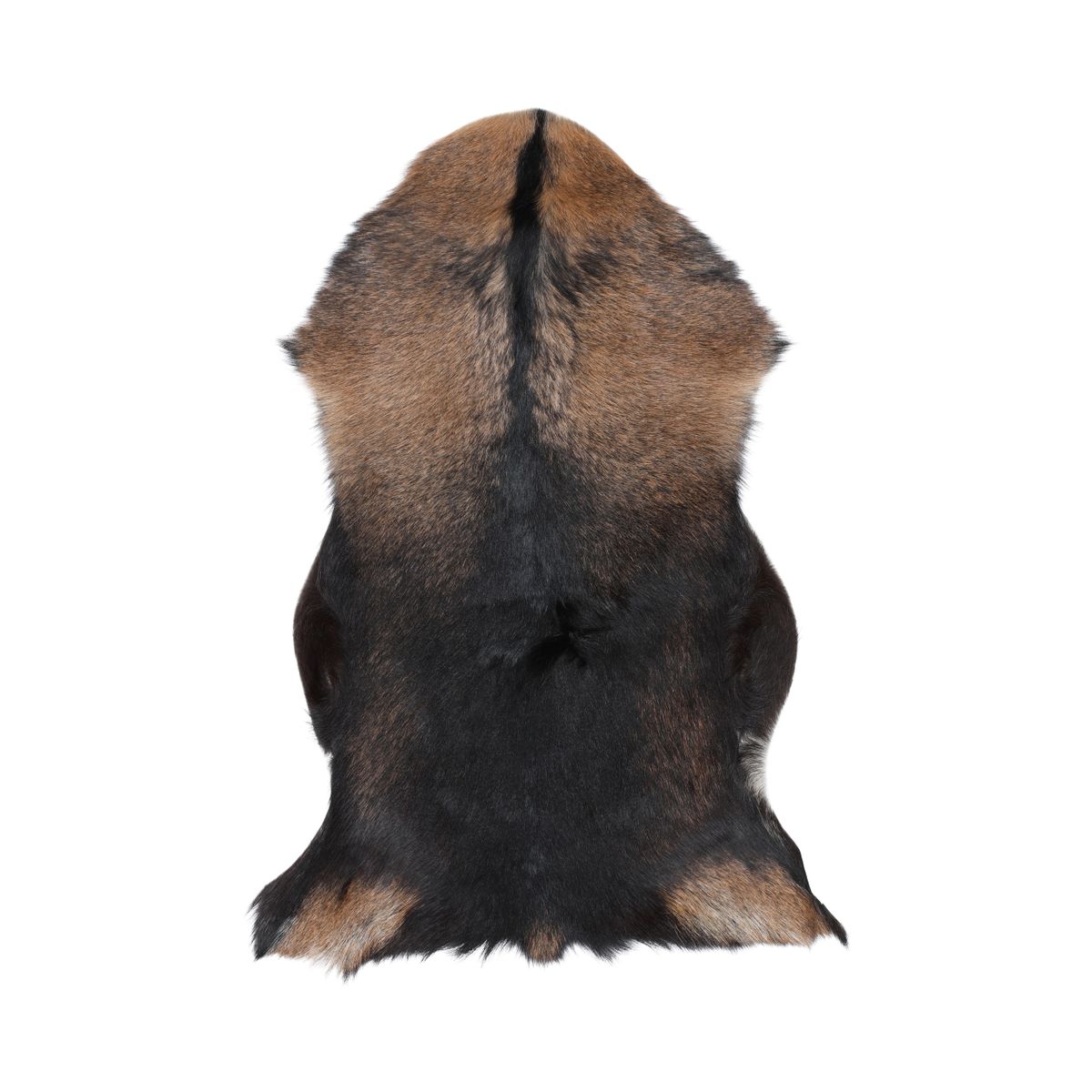 Kortharige Geitenhuid Zwart/Bruin