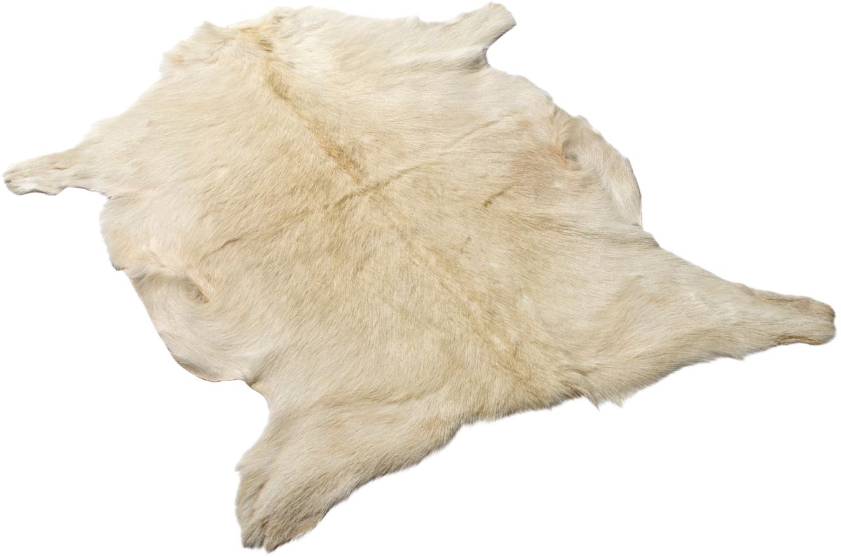 Kortharige Geitenhuid Natuurlijk wit
