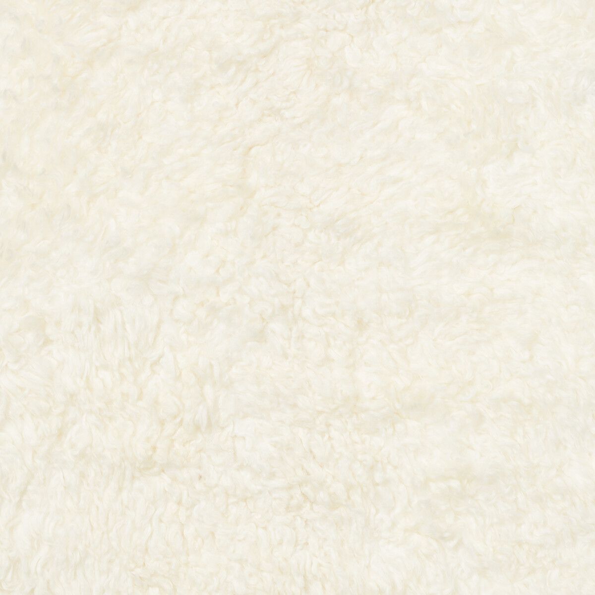 Kortharige Curly Schapenvacht Schelp Design Kleed | 210x150 cm Ivoor
