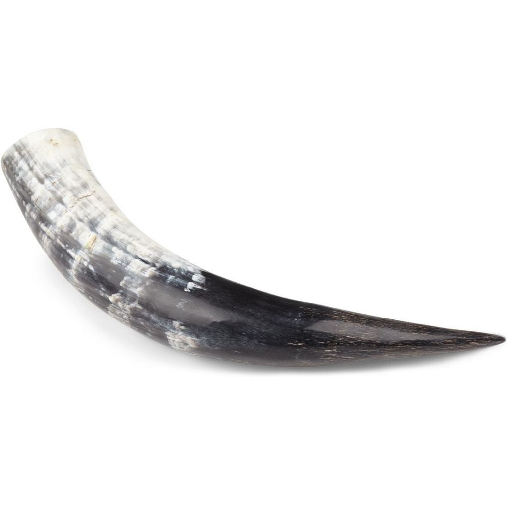 Koeienhoorn Gepolijst 30 cm