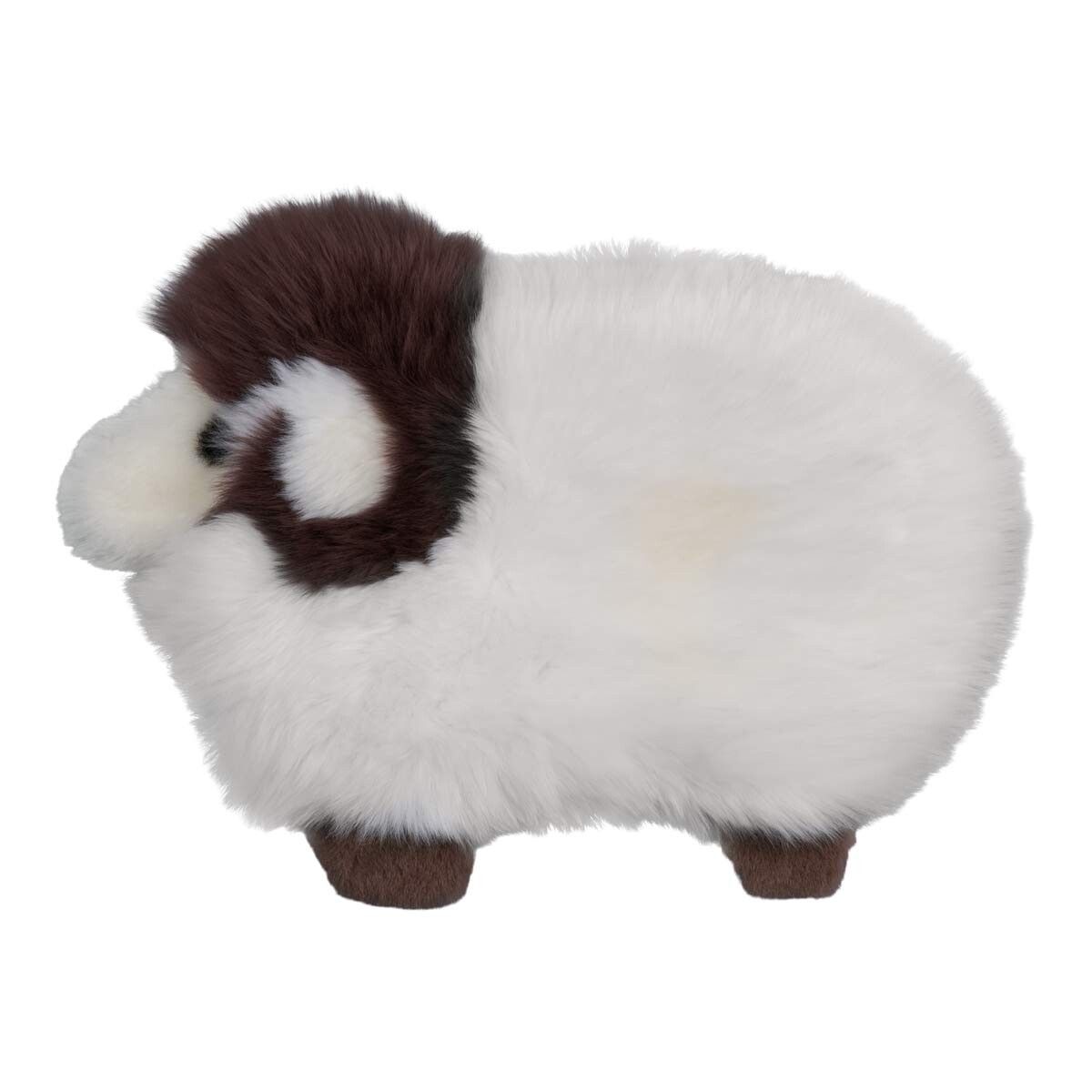 Schattig Schapen Kleed | Nieuw-Zeeland | 35x48 cm