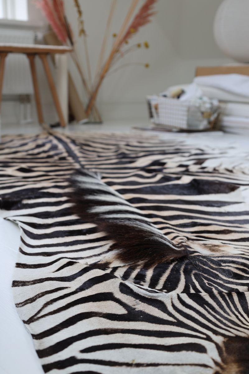 Zebra Huid | Zuid- Afrika Zebra