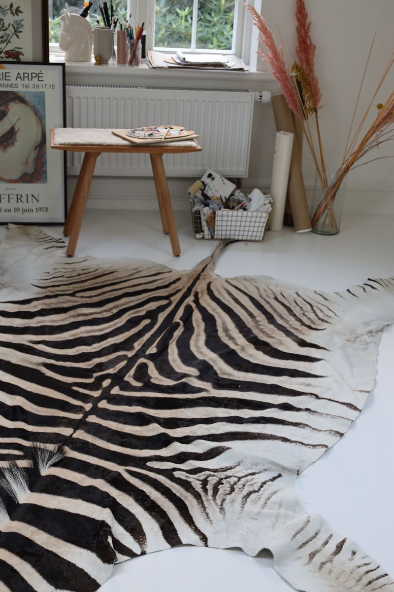 Zebra Huid | Zuid- Afrika Zebra