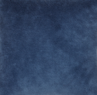 Sammy Vest Koningsblauw